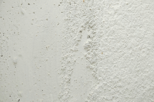 POLYHYDROXYSTEARIC ACID